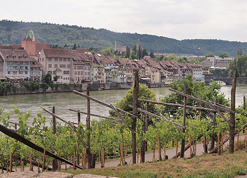 Blick auf Rheinfelden