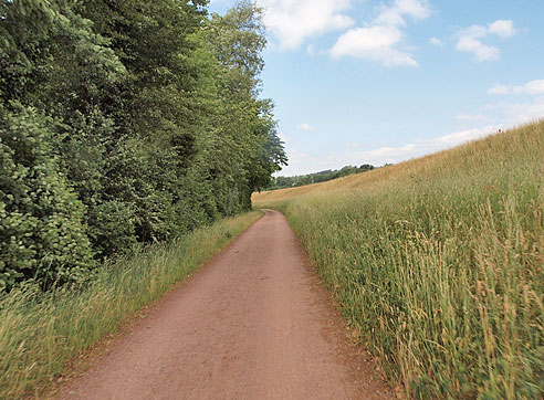 Am Kanal entlang bei Albbruck