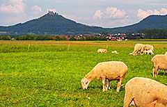 Blick auf das Schloss Hohenzollern