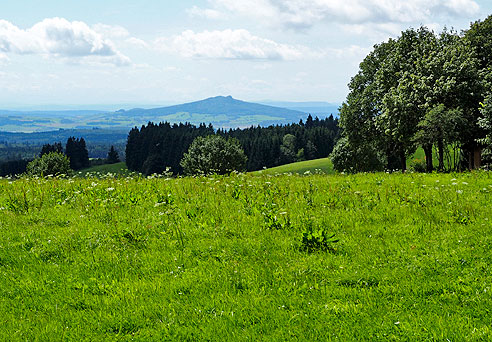 Ausblick auf den Bodensee