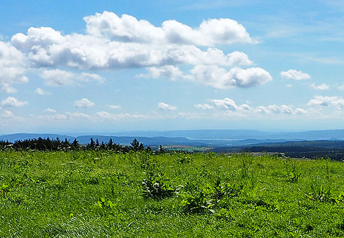 Ausblick auf den Bodensee