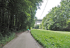 Unter dem Sulzbachviadukt