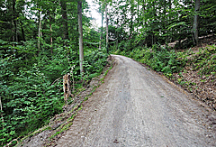 Bergauf in Serpentinen