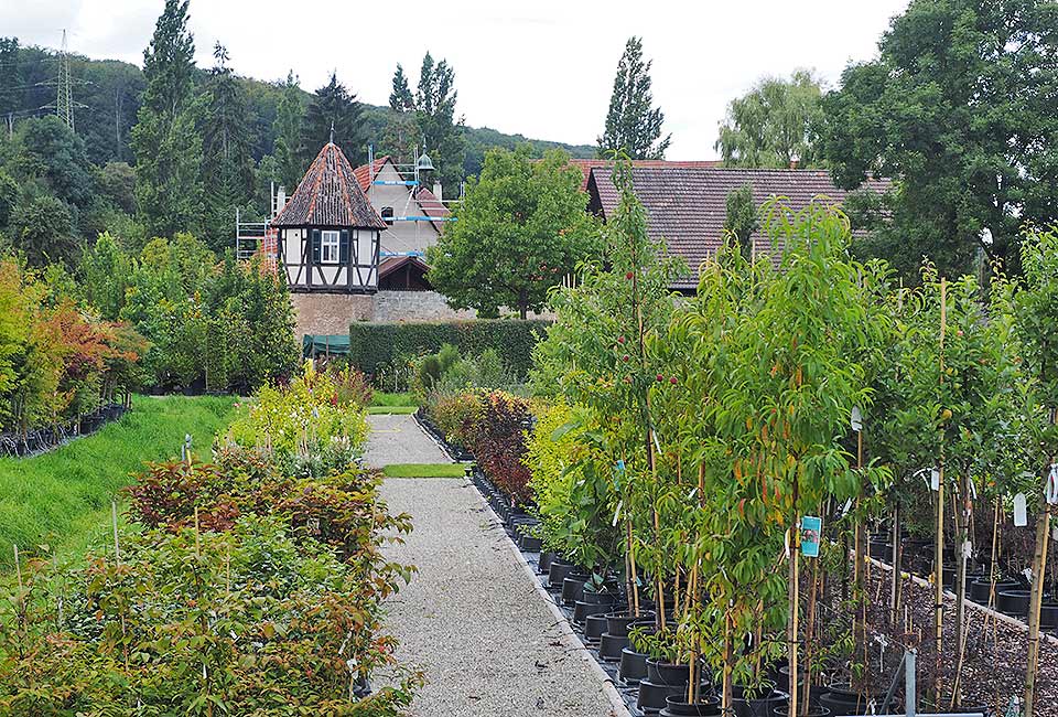 Reste des Klosters Sirnau