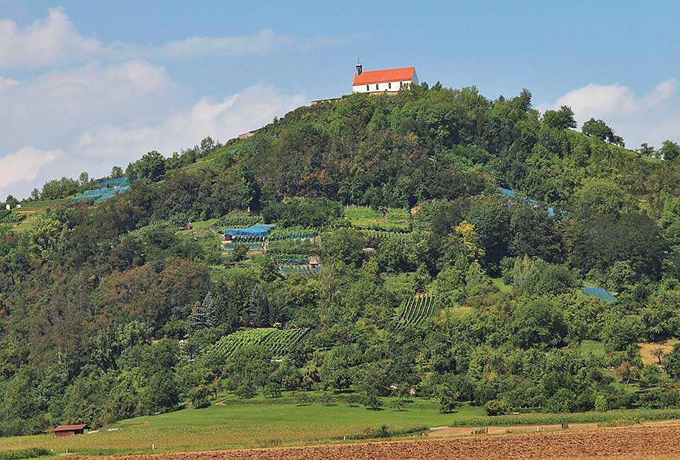 Blick auf Wurmlinger Kapelle