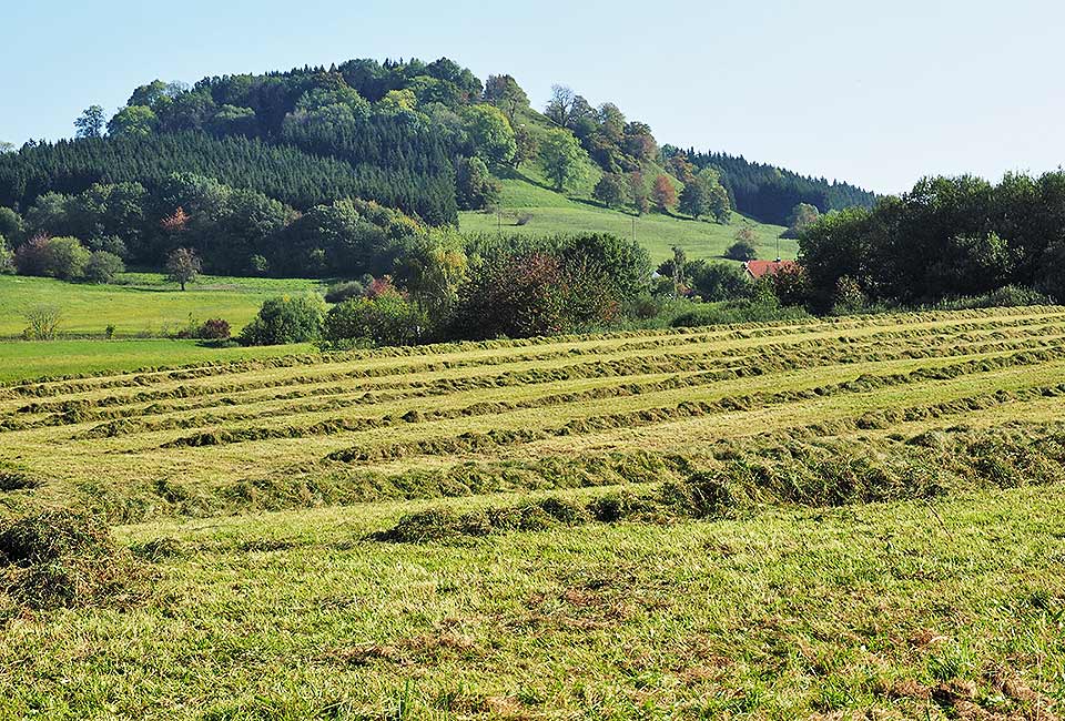 Landschaftsbetonte Strecke