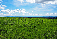 Ausblick auf den Bodensee