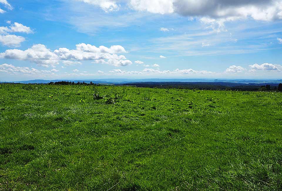 Ausblick auf den Bodensee