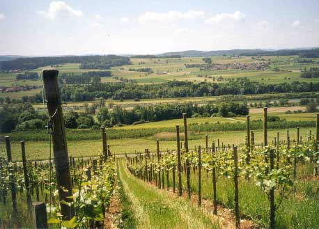 
Blick über die Thur