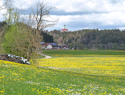 Blick auf die Blütenwiesen