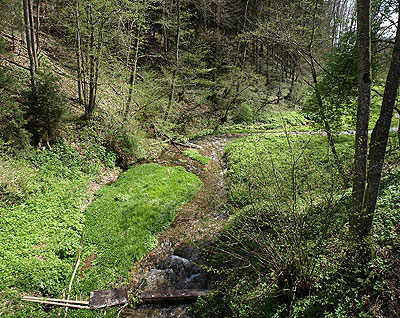 Naturpfad nach Lautrach