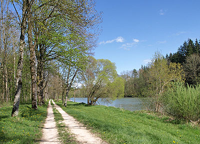 Flusslandschaft pur