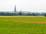 Blick auf das Münster