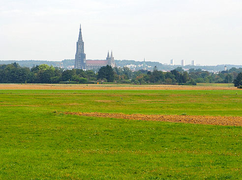 Blick auf das Ulmer Münster