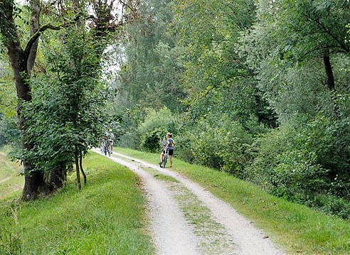 Schöner Radweg am Zusammenfluss von Iller und Donau: