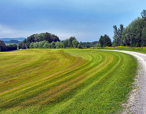 Radweg an der Iller