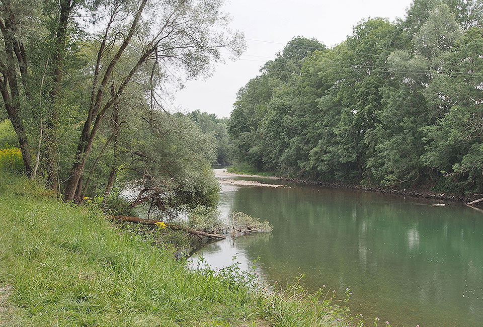 Naturetappe durch den Illerwald