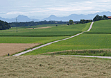 Blick von Spielberg auf die Alpen