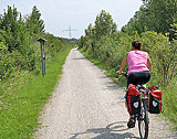 Radweg auf dem Damm