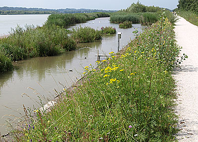 Naturreservat Unterer Inn