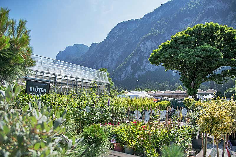 Bed & Breakfast Zur Schanz Ebbs