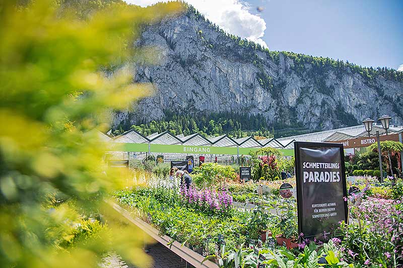 Bed & Breakfast Zur Schanz Ebbs