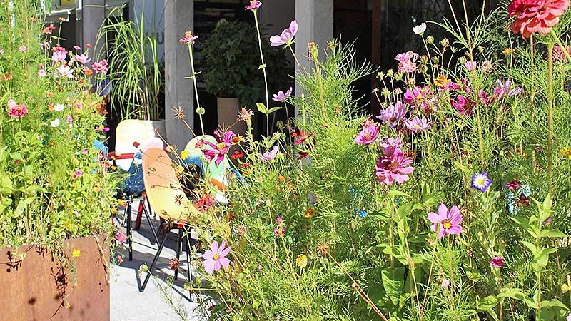 Bed & Breakfast Zur Schanz Ebbs