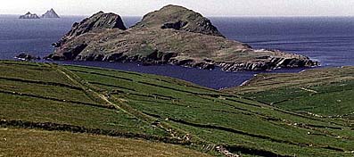 Puffin Island