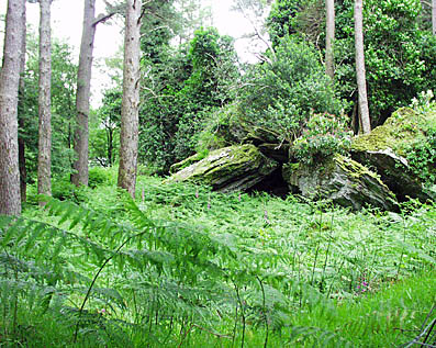 Märchenwald Derreen