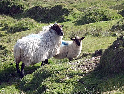 Passanten an der Straße