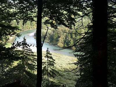 Isarschleife im Tal