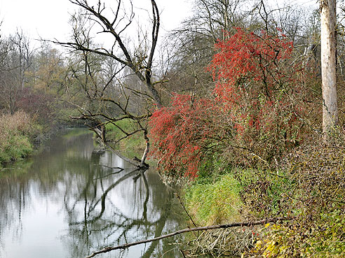 Bei den Altwassern der Isar