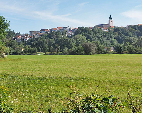 Blick auf Landau an der Isar