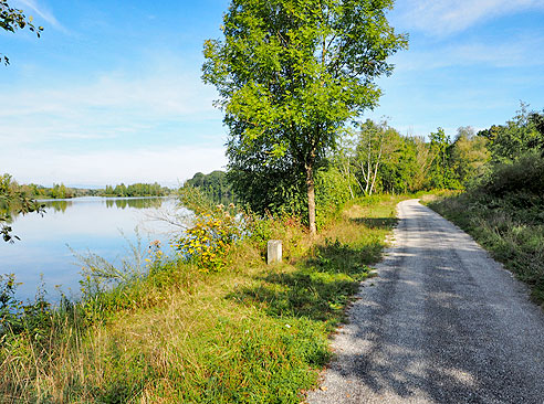 Geschotterter Radweg an der Isar