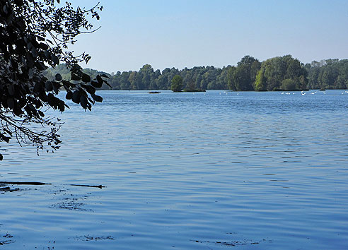 Stausee Landau