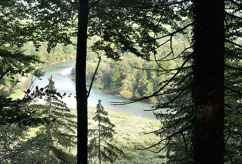 Isarschleife im Tal