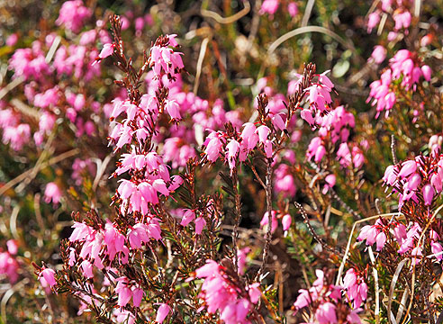 Isarwasser: Besonderes Wasser