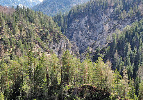 Ausblick von der Gleirschhöhe