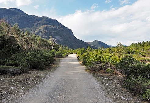 Naturschutzgebiet Riedboden 