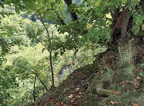 Blick hinunter auf die Jagst