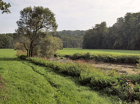 Blick die Jagst