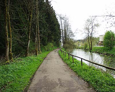 Radweg am Waldrand