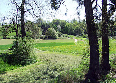 Landschaft bei Kochersteinsfeld