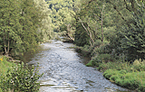 Naturbelassener Kocher