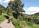 Landschaft pur am Kocher