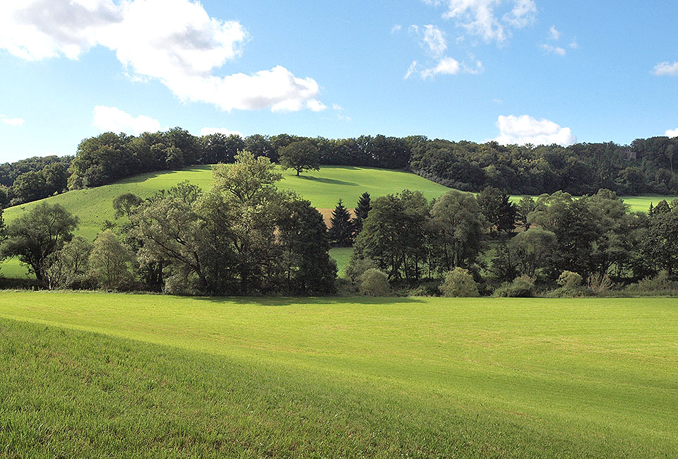 Hügelige Landschaft bei Untermünkheim