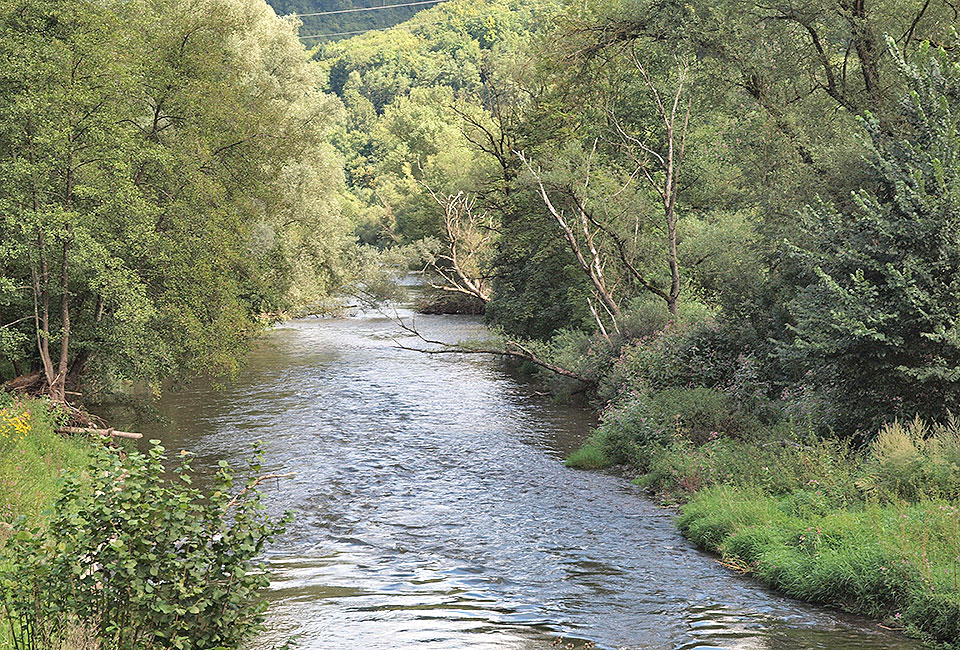 Stauwehr an der Mühle