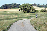 Radweg an der Speltach