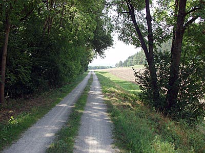 Auf der Bahnlinie