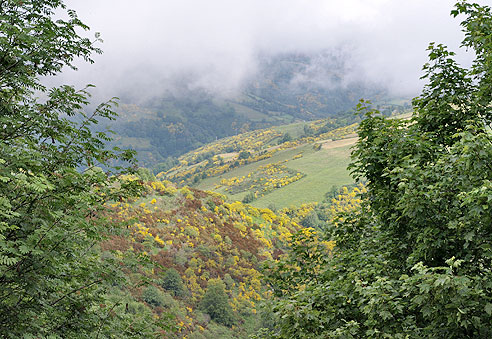 Wie von Geisterhand ist der Nebel zur Seite geschoben
